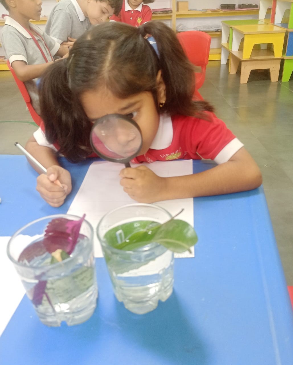 Children exploring at Linden Montessori