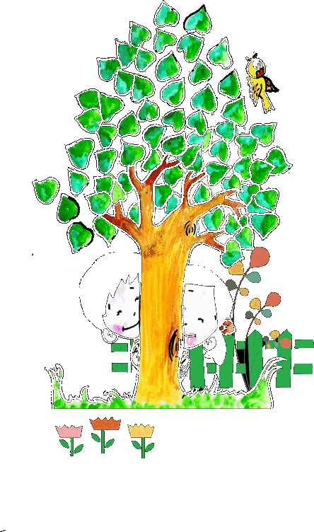 Montessori School Environment