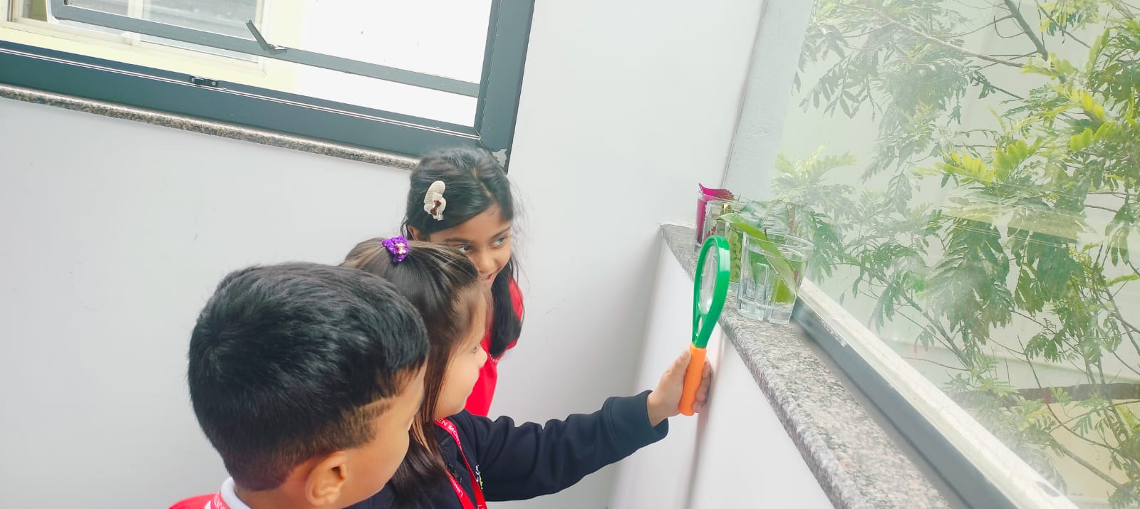 Focused student learning